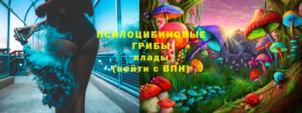 ALPHA-PVP Богородицк