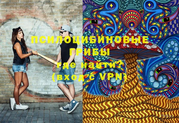 ALPHA-PVP Богородицк