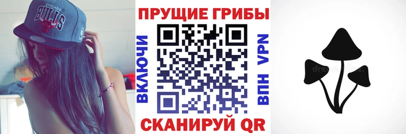 это как зайти  Северская  Псилоцибиновые грибы Psilocybe 